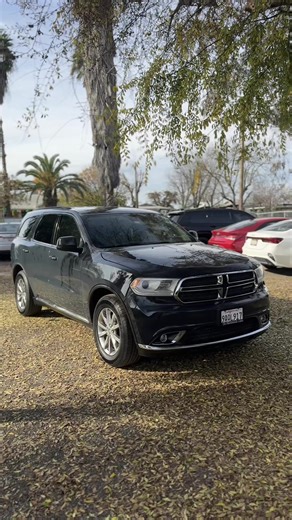 Self-Made Auto Detailing Tips by Jaideep Cheema