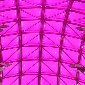 In 2023, we Dared to Dream. In 2024, we Dream Bigger. Be a part of our title defense, join the Pink Army 🏆🏟💗 Memberships on sale now: https://bit.ly/3Ct3v8v | Adelaide Thunderbirds