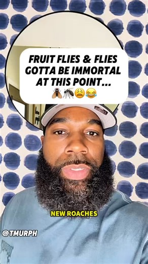 98K views · 3.4K reactions | I sprayed RAID… they said “that’s...