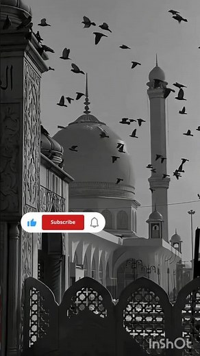 TERE ISHQ KI BADAULAT.. #shortsfeed #viral #shorts quotes