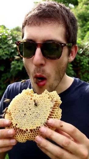 Just a guy eating honeycomb with live bees on it. #bees
