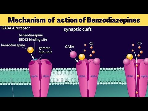 Mechanism of Action of Benzodiazepines