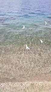 Aqaba jordan on Reels