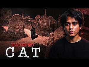 Creepy Story About Cat Called Boots (Horror Story)