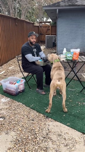 Worldpethealth on Instagram: "Playing with donkey Kong here"