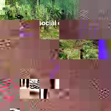 Muhammad Yunus, the ‘father of #microfinance’, explains how he started a #bank to help the most disadvantaged people in #Bangladesh break out of poverty. Today, Grameen Foundation provides micro-loans to more than 10 million people. Grameen is a member of the Schwab Foundation’s Global Alliance for Social Entrepreneurship, which brings together corporations, #investors, #philanthropists, governments, researchers, media, and industry actors to support #innovators who are working to change #societ