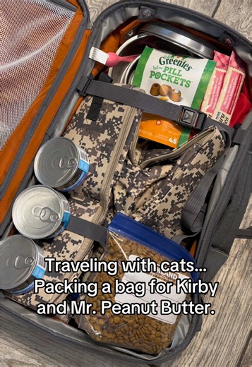 Traveling… cat edition.
