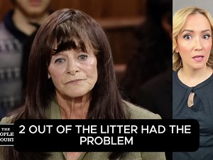 Plaintiffs SUING a Reputable puppy SELLER for the dog's COST and MEDICAL Bills after their PUPPY contracted a virus and PASSED away. Defendant claims she sold a HEALTHY dog and that the Plaintiffs are at FAULT. 😱🤯 This original video was produced by Network Media, LLC and Elena W. | Elena W