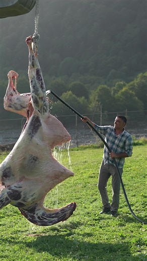 Delicious Roasted Camel Recipe in Tandoor