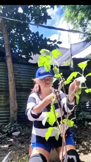 IS GARDENING MY NEW TERAPHY❔️