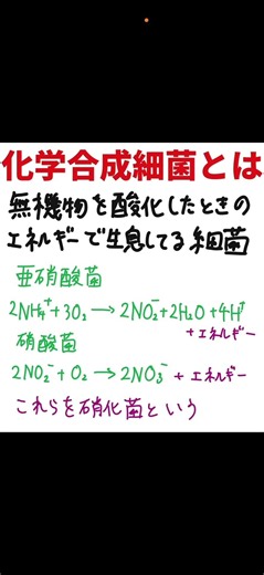専門生物 化学合成細菌とは