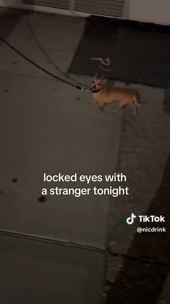 Locked Eyes with a Stranger: A Unique Encounter