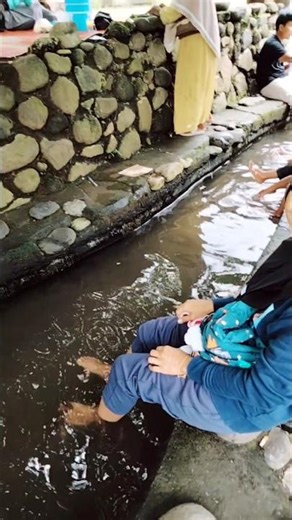 kali kesek terapi ikan#shortvideo #pelangi05 #kalikesek#terapi#ikan#kendal#rame#wisata#pedesaan