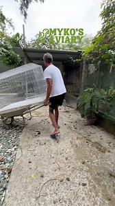 65K views · 1.1K reactions | Breeding Enclosure for the Sun Conure | Myko's Aviary | Facebook