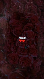 Un millón de rosas (letra) Música Para Recordar "Vive La Música" #musica #letra #lyrics #romanticos #texmex | Música Para Recordar