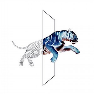 Check back in Monday... | The Front Bottoms