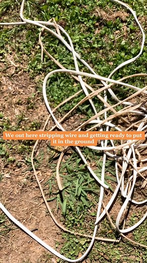 Unlocking the Power of Electroculture: Copper Wire Grounding Techniques