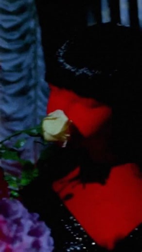 64 reactions | One of the most breathtaking horror films of all time, maestro Mario Bava’s stylish blood-soaked classic set a new standard for Italian horror – to be as beautiful as it is terrifying. Essential viewing for any horrorphile, don’t miss this gore-geous masterpiece on the big screen! BLOOD AND BLACK LACE plays on Saturday, October 11 @ 9:45pm. Get your ️️️ in our  | Vidiots | Facebook