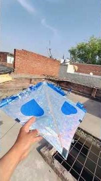 aaj padosi Ne apni saari Patang mujhe de di ❤️ #kite #kiteflying #patang #patangbazi #ytshorts
