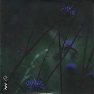 Gadadu - The Weatherman Is Wrong