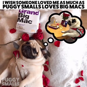 58K views · 1K reactions | Roses are red, violets are blue ...Big Mac  | Puggy Smalls | Facebook