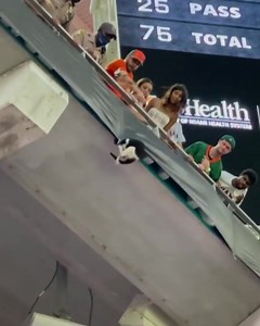 380K views · 6K reactions | Best Short Film of 2021!!! This happened is MIAMI last night. I’ll be in MIAMI this week at the MIAMI IMPROV, Fri,Saturday & Sunday tix are here: https://www.miamiimprov.com/shows/144445 | Michael Rapaport | Facebook