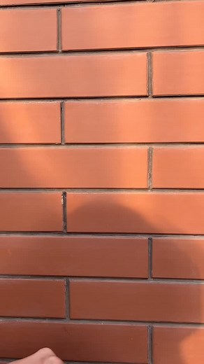 POV: Hand = empty. Mood = needs rings💜✨ . . . . . . . . . #caratlane #jewellery #minimal #preciousjewellery #photooftheday #potd #jewelry #aesthetics #classy #finejewelery #everydaywear #dailywear #diamond #diamondjewellery #ring #Bracelet #statementjewellery #DiamondRing #Diamonds #DiamondRings #diamondring | CaratLane - A Tata Product