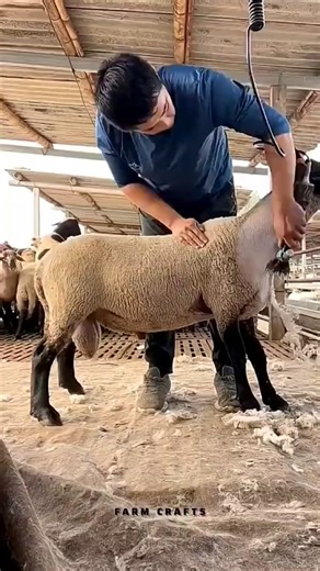 قصة مثيرة من تاريخنا #قصص