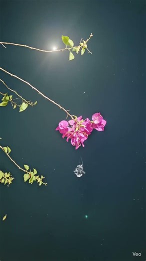 Iss Tarah | Kya maine koi mangi dua..song by artist Chaar Diwaari and #sonunigam #trending#song#love