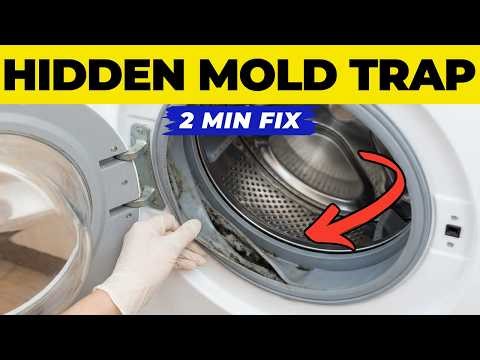 Why Your Washing Machine Smells and How to Fix It Forever