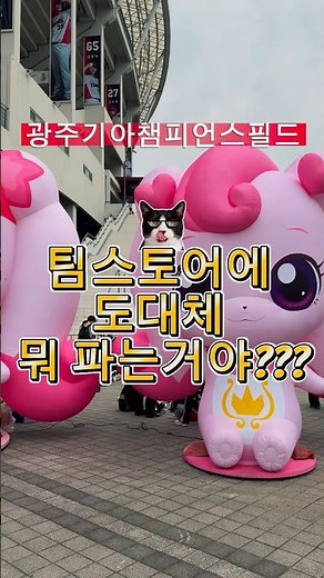 광주기아챔피언스필드 팀스토어에 뭐팔아?