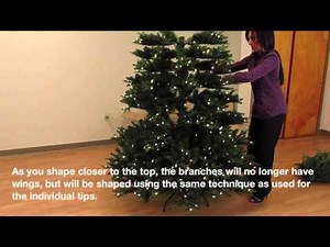 Power Connect Video with Dual