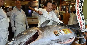 Giant tuna fetches record $4M at Japan auction