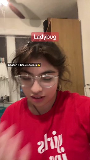 Miraculous Ladybug Season 5 Finale Explained