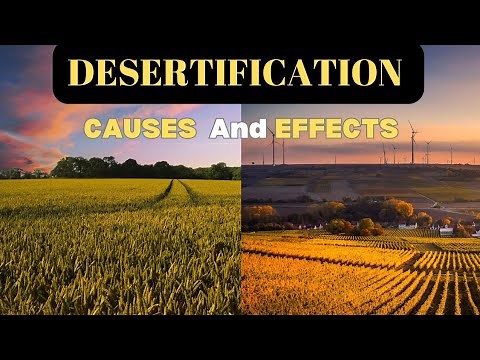 What is Desertification? | Desertification Causes and Effects | Desertification