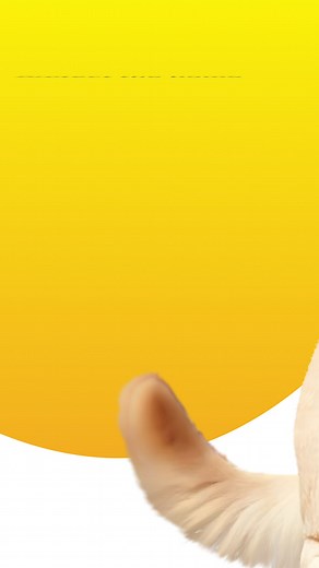 Protect the home you love with RACQ Home & Contents Insurance. Buy online now! T&Cs apply. | RACQ