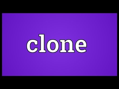 Clone Meaning