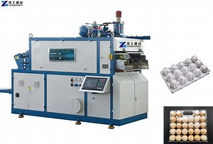 YG Plastic Egg Tray Making Machine Price | Plastic Thermoforming