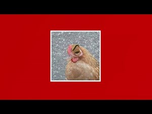 Paint the Town Red - Doja Cat | 1 hour loop | "She the devil-"