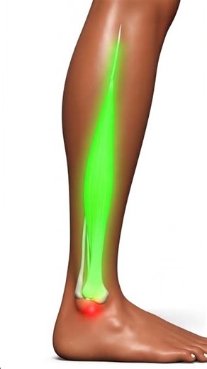 Ankle Mobility Testing