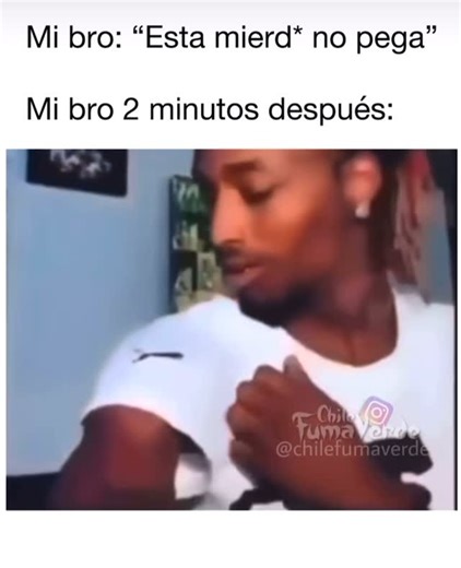 El meme toxico on Instagram: "#elmemetoxico #amor #foto #memes #humor #domingo #cdmx #playa #motivacion #meme #humornegro #instamemes #tulum #moda #mty #amigas #amigos #vacaciones #verano #vida #gdl #viernes #gato #mexico #perro #merida #queretaro #chihuahua #yo"