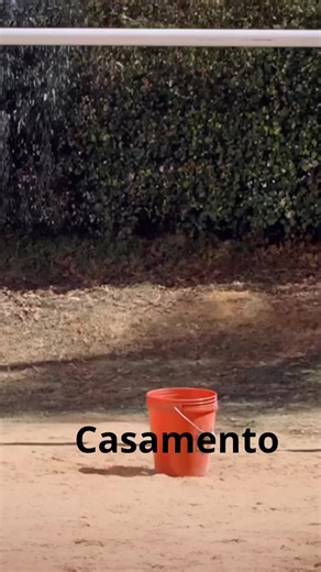 Desculpa pela bobeira do vídeo mas é só pra chamar sua atenção pra um assunto sério ...Nesse momento você e mulheres de mulher estão para desistir dos seus casamentos, não vêem mais saída pra sua relação... Eu preparei um material prático, baseado na minha experiência de 20 anos de casamento e na bíblia que te mostra a saída pra que você não desista...Eu tenho algo maravilhoso em minhas mãos mas esse livro será em vão se mulheres não se beneficiarem dele ...R$59 pra mudar de vez seu casamento...