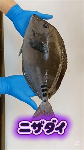 How to prepare red snapper for sashimi [Full process] #RedSnapperSashimi #RedSnapper #Sannoji