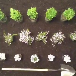 1.1M views · 4.8K reactions | Keep your gardening quick and simple by using your shovel as a measuring tool. #LowesFixInSix | Lowe's Home Improvement | Facebook