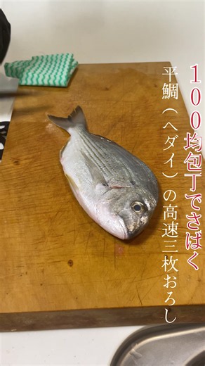 【100均包丁でさばく！】鯛の高速三枚おろし#魚 #捌き方 #三枚おろし #時短レシピ #daiso