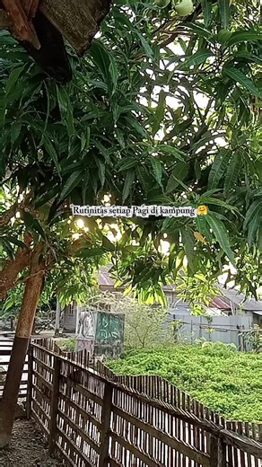 Day 1; Hri Pertama Ngonten🙃🙂 Part 1•¥ #minivlog #daylivlog #2026 #kampunghalaman #fypシ