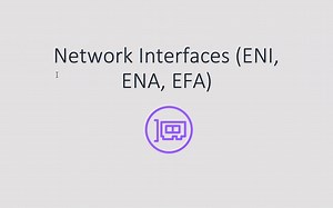 3.1 Network Interfaces (ENI, ENA, EFA)