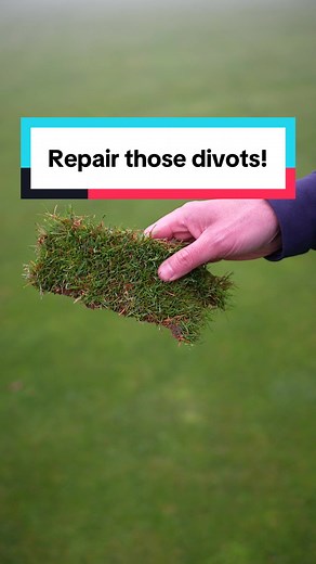Turf Repair Techniques for Damaged Grass