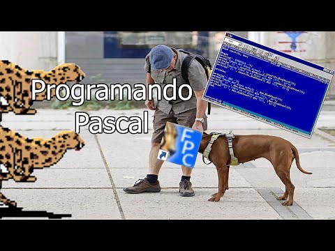Programando nuestro primer programa en el lenguaje pascal - Aprende a programar en pascal
