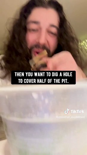 How to Grow an Avocado Tree at Home